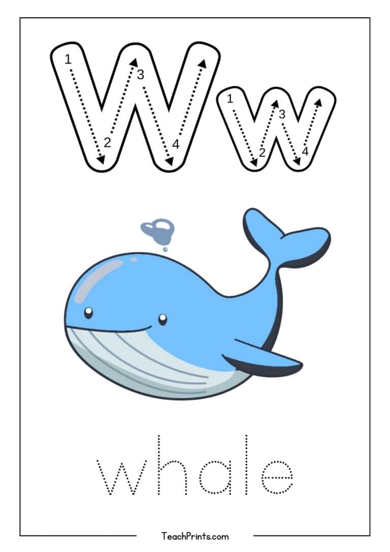 Letter W Tracing Worksheet Free Printables Teach Prints