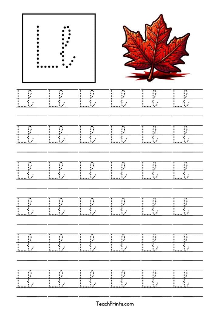 free cursive l tracing worksheet
