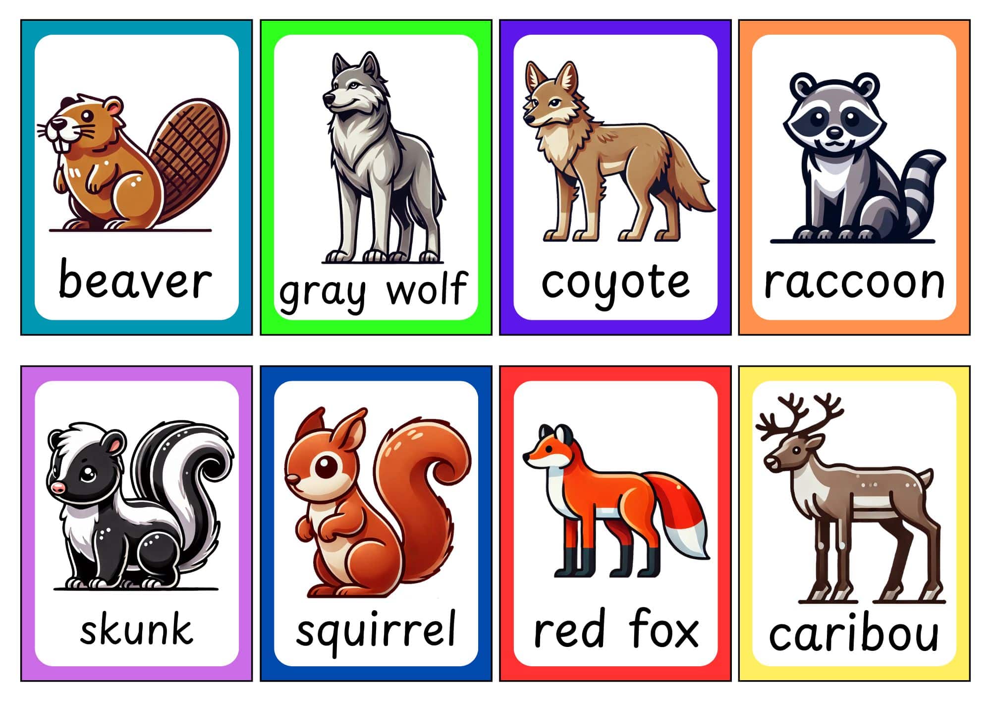 American Animals Flashcards