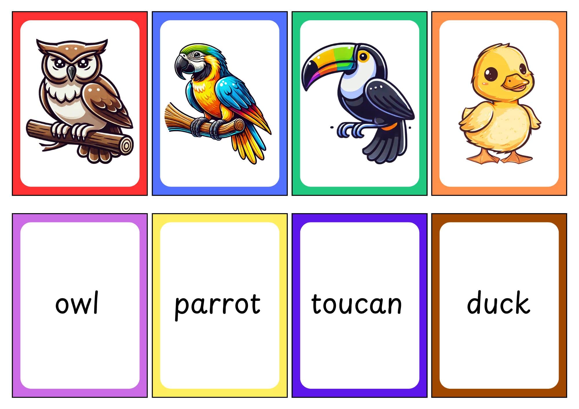 Bird Flashcards
