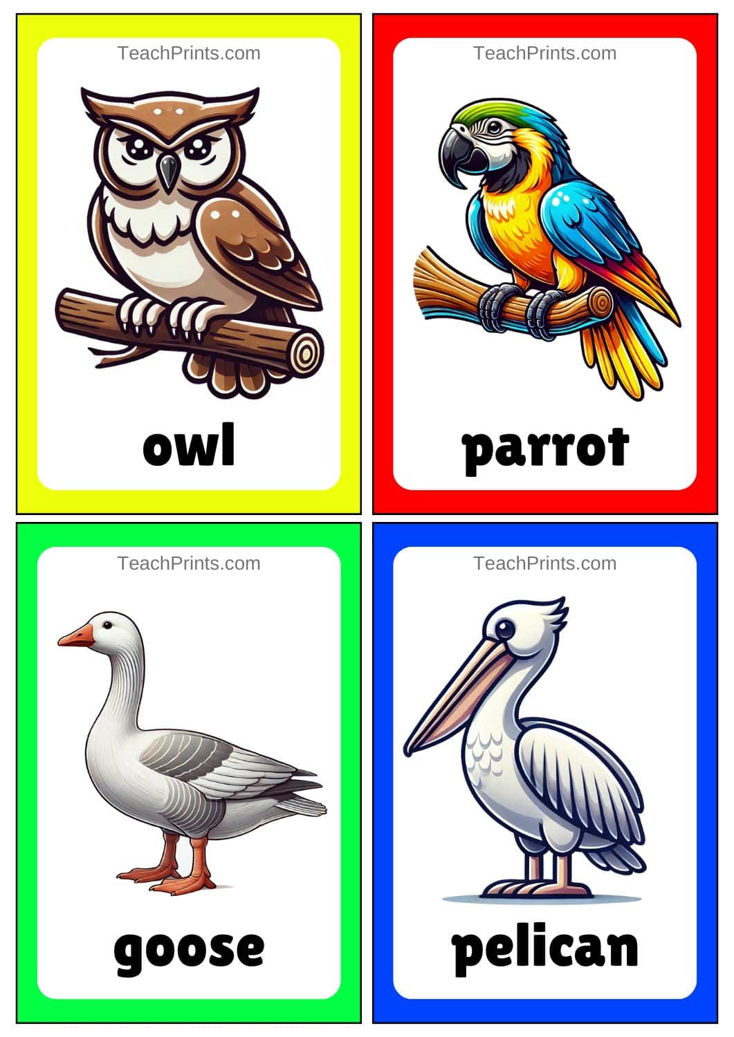 birds flashcards