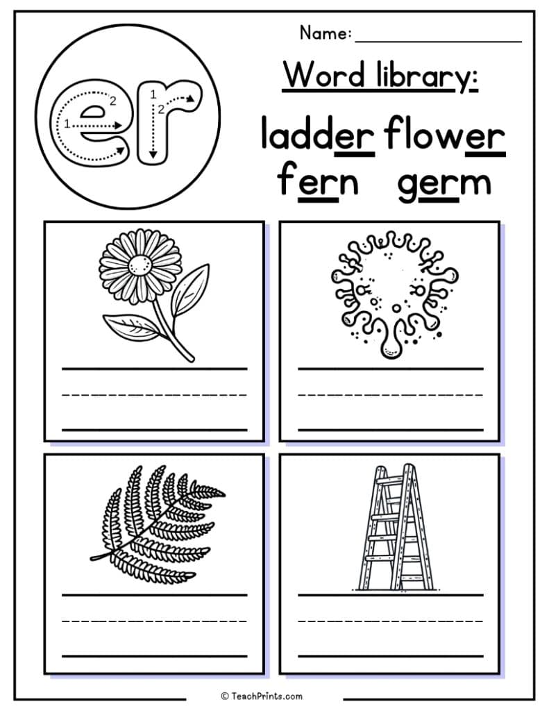 er worksheet