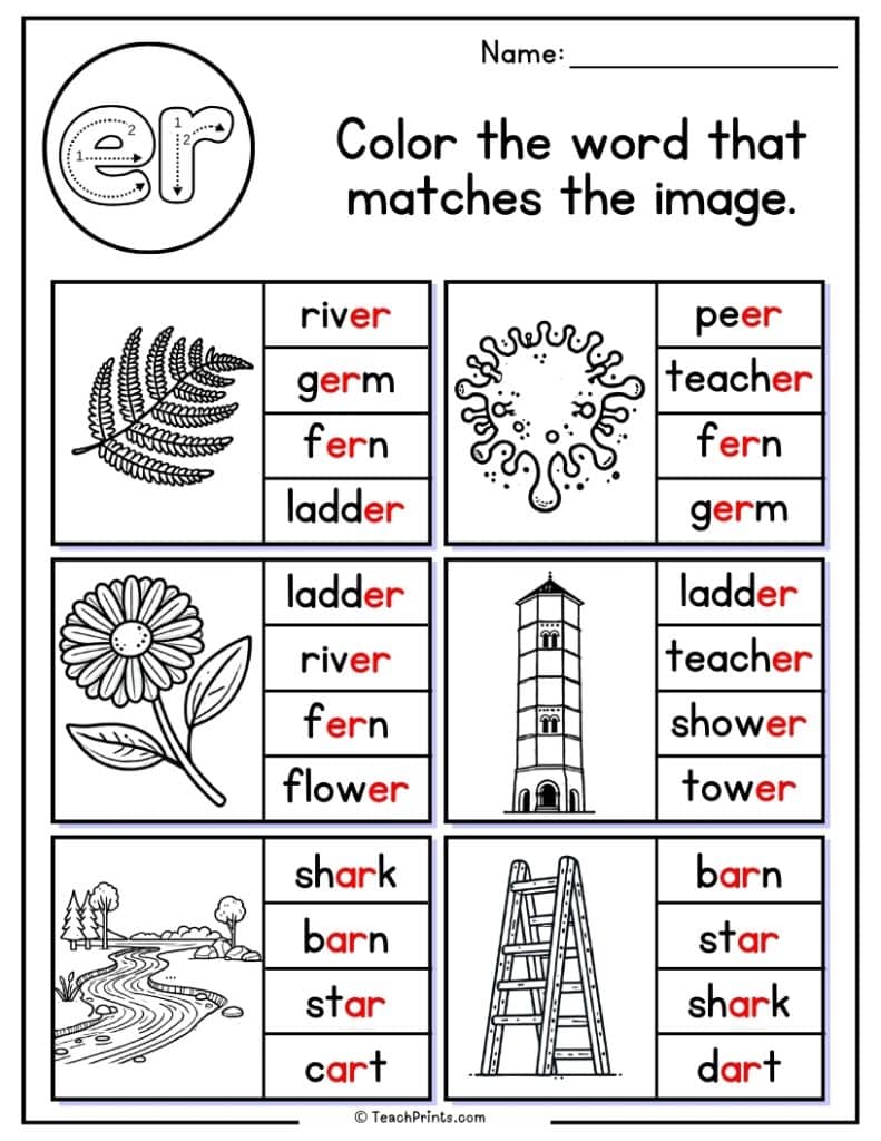 er worksheet