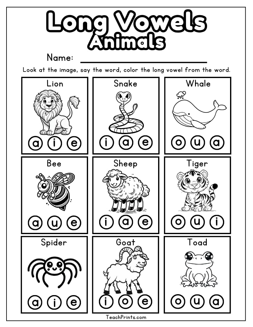 long vowel worksheet
