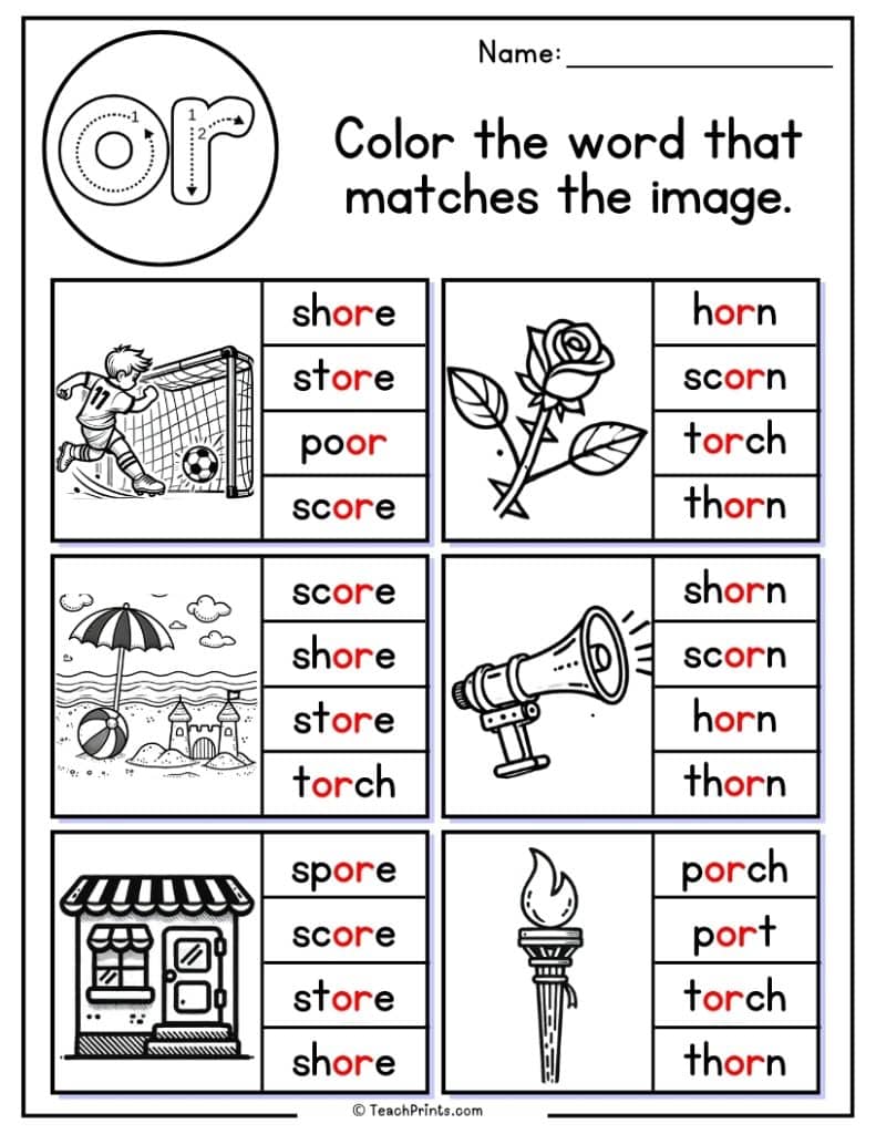 or worksheet